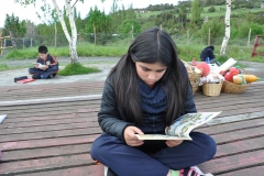 Picnic Literario 4° Básico (26)