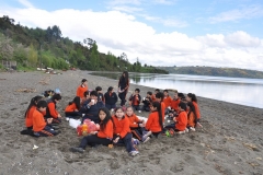 Picnic Literario 4° Básico (37)