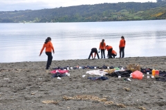 Picnic Literario 4° Básico (40)