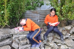 Picnic Literario 4° Básico (45)