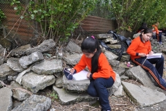 Picnic Literario 4° Básico (47)