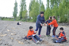 Picnic Literario 4° Básico (48)