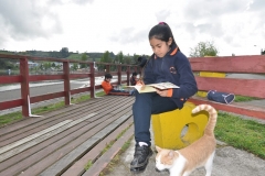 Picnic Literario 4° Básico (6)