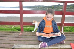 Picnic Literario 4° Básico (7)