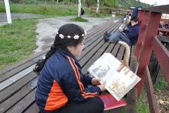 Picnic Literario 4° Básico (8)