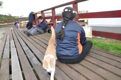 Picnic Literario 4° Básico (9)