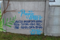 Grafiti (12)