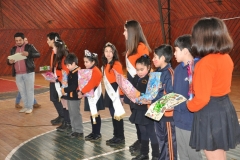 Aniversario 2017 Básica (129) (Copy)