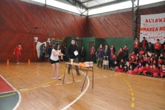 Aniversario 2017 Básica (14) (Copy)