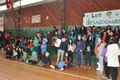 Aniversario 2017 Básica (40) (Copy)