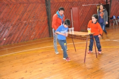 Aniversario 2017 Básica (86) (Copy)