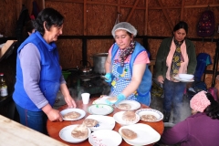 Muestra Gastronomica 2017 LABO (100)