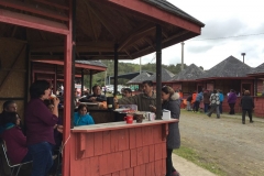 Muestra Gastronomica 2017 LABO (110)