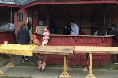 Muestra Gastronomica 2017 LABO (113)