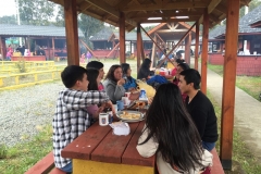 Muestra Gastronomica 2017 LABO (116)