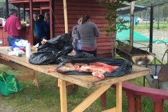 Muestra Gastronomica 2017 LABO (119)