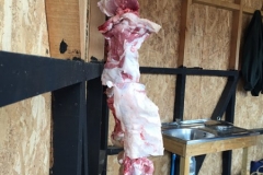 Muestra Gastronomica 2017 LABO (129)