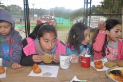 Muestra Gastronomica 2017 LABO (20)