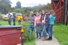 Muestra Gastronomica 2017 LABO (45)