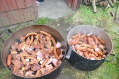 Muestra Gastronomica 2017 LABO (80)