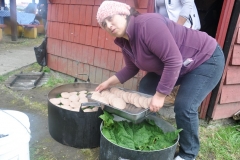 Muestra Gastronomica 2017 LABO (81)