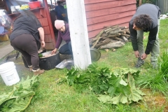 Muestra Gastronomica 2017 LABO (86)