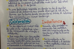 Afiche-we-tripantu.-Pablo-Ojeda