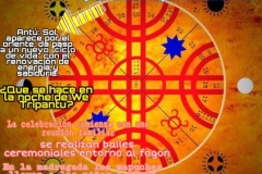 IMG-20200623-WA0036-TAMARA