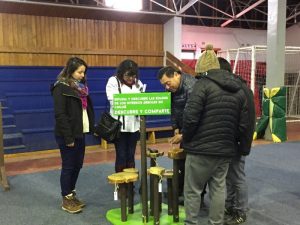 Chiloe Eco- Sistemico (8)