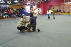 Aniversario Liceo (167)