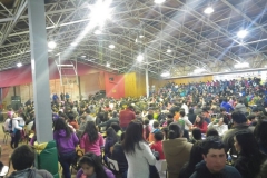 Bingo 2016 (2)