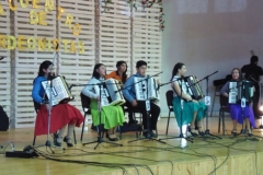 Encuentro de Acordeonistas 2016 (10)