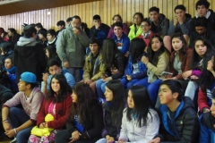 Interliceo (1)