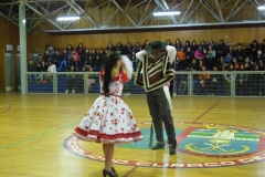 Interliceo (11)
