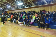 Interliceo (139)
