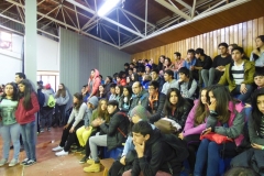 Interliceo (16)