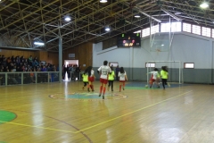 Interliceo (28)