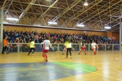 Interliceo (29)