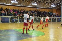 Interliceo (30)
