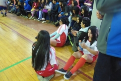 Interliceo (32)
