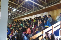 Interliceo (34)