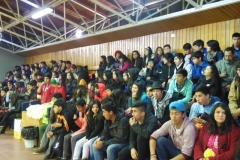 Interliceo (5)