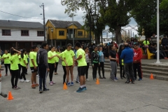 Interliceo (59)