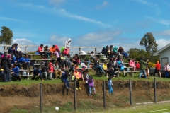 Olimpiadas Inclusion (30)