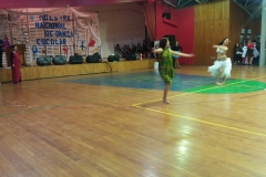 Encuentro Danza 2016 (17)