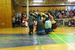 V Muestra Nacional Danza (102) (Copiar)