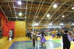 V Muestra Nacional Danza (115) (Copiar)