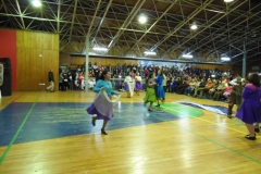 V Muestra Nacional Danza (118) (Copiar)