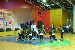 V Muestra Nacional Danza (139) (Copiar)