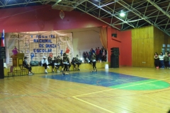 V Muestra Nacional Danza (141) (Copiar)